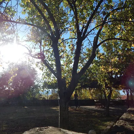 αριάδνη - Ariadni Lemos